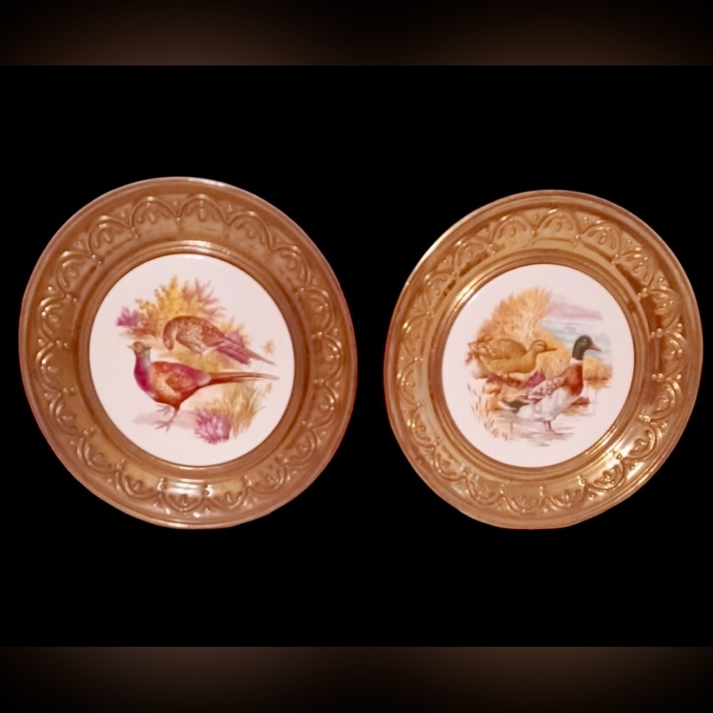 Brass Gold Framed Bird Wall Decor